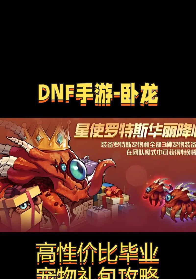 地下城宠物如何处理？送的宠物有什么用？