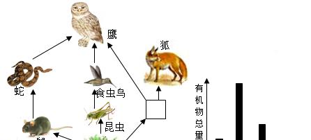 魔域老虎转蛇的条件是什么？转换过程是怎样的？